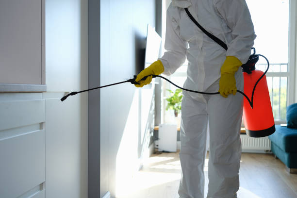 Best Mold Remediation  in Richmond West, FL